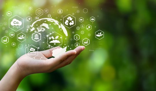 CIN research offers a glimpse into consumer views on sustainability